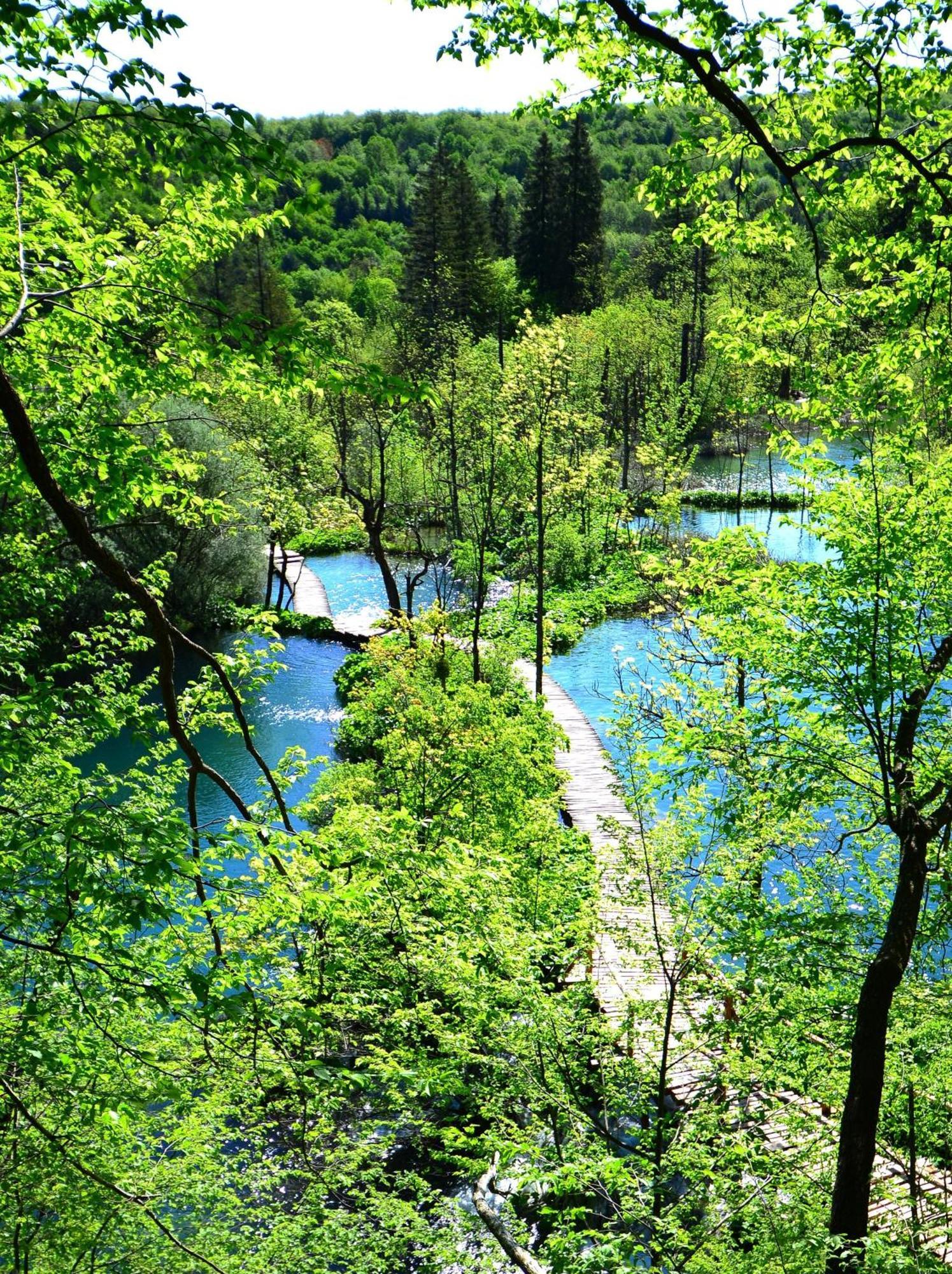 Готель House Janja Plitvice Селище Дрежницько Екстер'єр фото